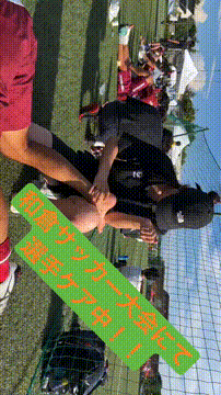 OCカメラサムネイル画像