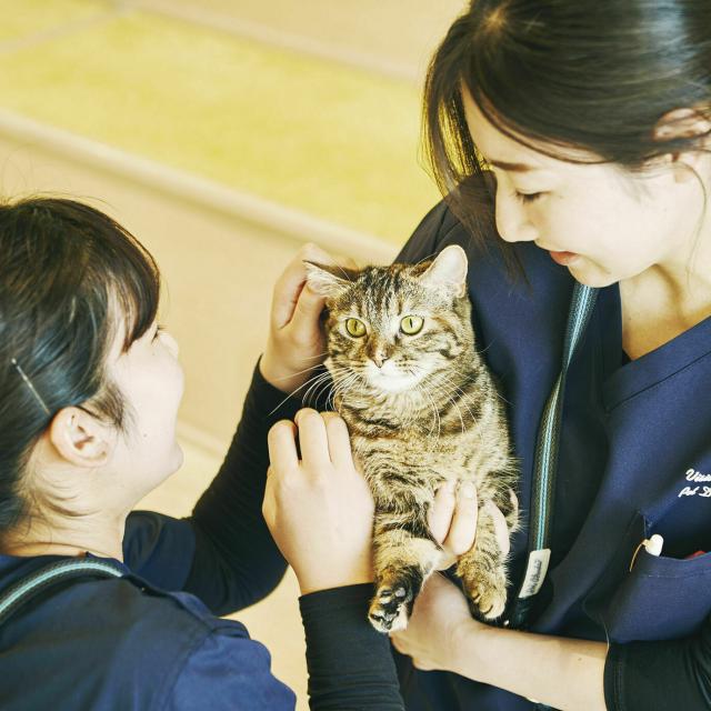 ペット ニャンコの看護 専門学校 福岡ビジョナリーアーツのオープンキャンパス情報と予約申込 スタディサプリ 進路