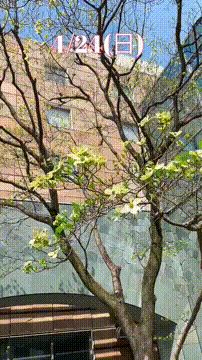 OCカメラサムネイル画像