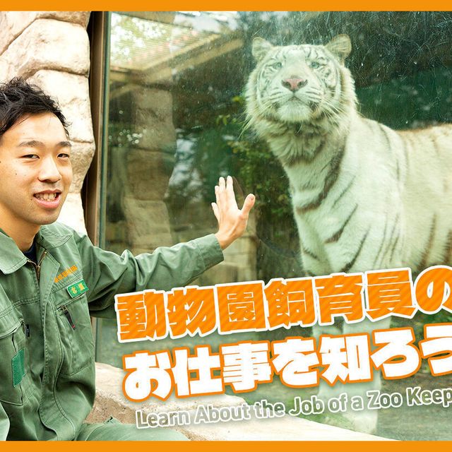 ＴＣＡ東京ＥＣＯ動物海洋専門学校 動物園飼育員のお仕事について学ぼう！1