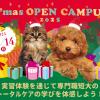 ヤマザキ動物看護専門職短期大学 X'masオープンキャンパス