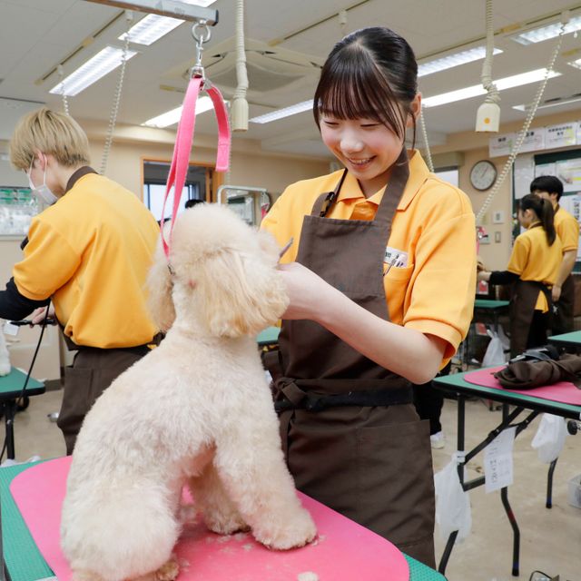 大宮国際動物専門学校 学校説明会（選んだ学科を体験できる日）2