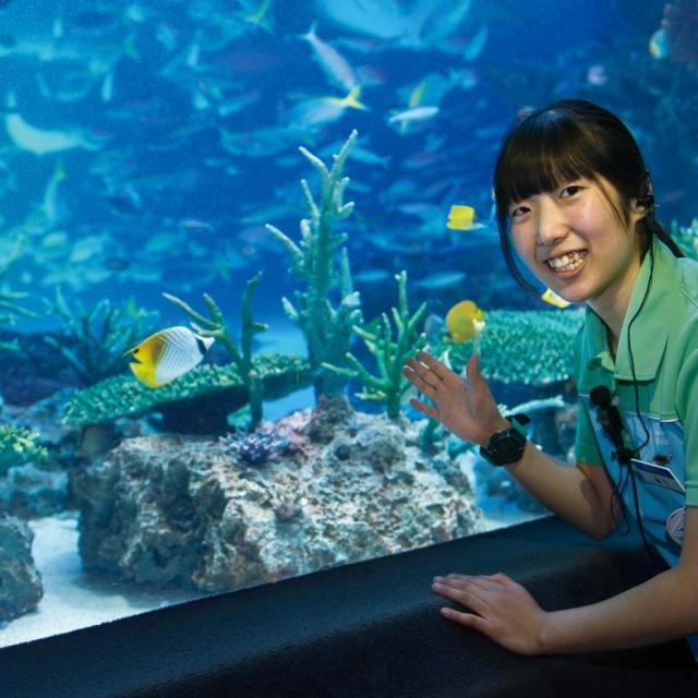 仙台ECO動物海洋専門学校 水族館・観賞魚アクアリストのお仕事体験1