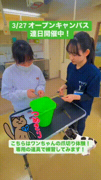 OCカメラサムネイル画像