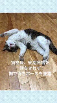 OCカメラサムネイル画像