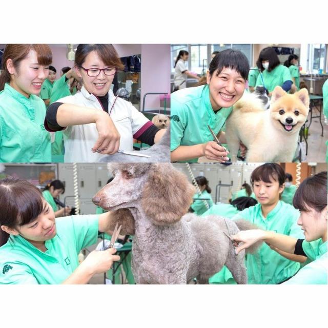 大宮国際動物専門学校 学科別体験入学1