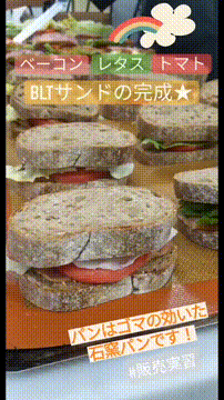 OCカメラサムネイル画像