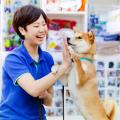 国際ペットワールド専門学校 【オープンキャンパス】動物と一緒に楽しく進路研究！