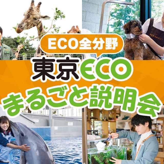 ＴＣＡ東京ＥＣＯ動物海洋専門学校 東京ECOまるごと説明会1