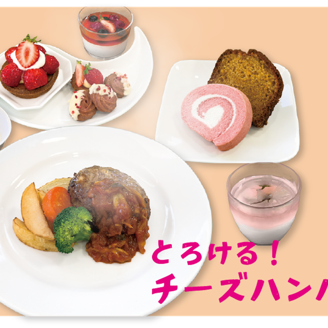 日本栄養専門学校 【みかしほ学園　春の体験入学】1