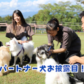 群馬動物専門学校 パートナー犬お披露目！トレーナー体験in名犬キャンパス