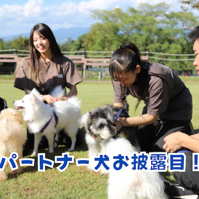群馬動物専門学校 パートナー犬お披露目！トレーナー体験in名犬キャンパス1