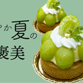 日本調理製菓専門学校 夏の体験入学【製菓：シャインマスカットタルト】