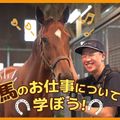 ＴＣＡ東京ＥＣＯ動物海洋専門学校 馬のお仕事について学ぼう！