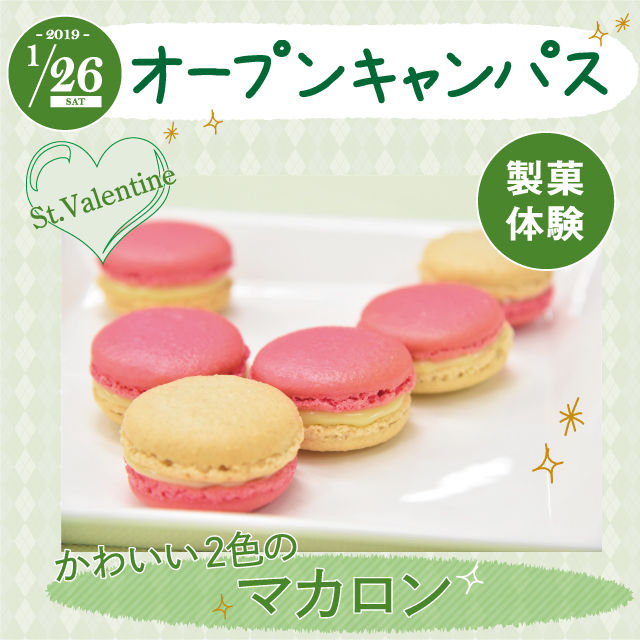 にいがた食育・保育専門学校えぷろん 製菓体験!!かわいい人気のパステルマカロン☆1