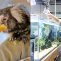 専門学校　福岡ビジョナリーアーツ 【ペット】動物園飼育員×水族館飼育員体験