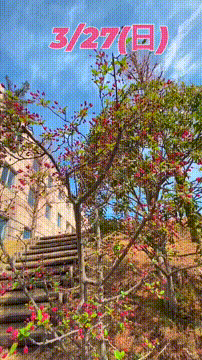 OCカメラサムネイル画像