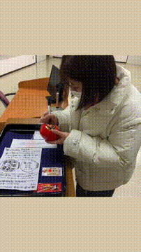 OCカメラサムネイル画像