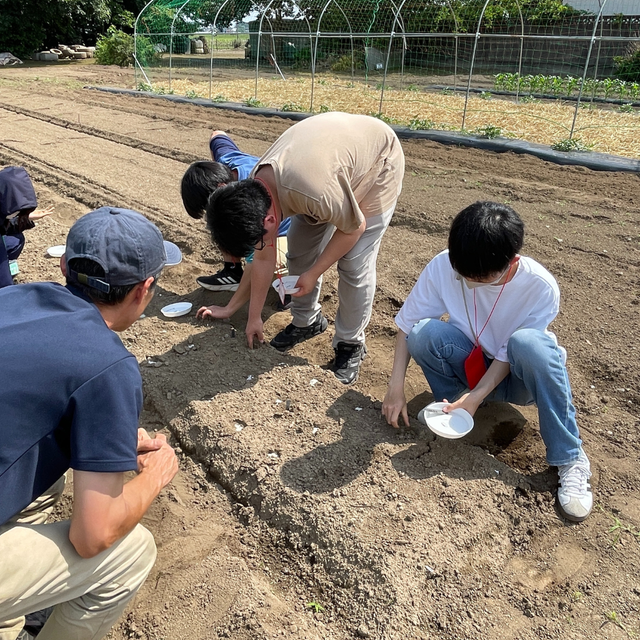 テクノ・ホルティ園芸専門学校 野菜づくり実習★夏野菜オクラを育てる！栽培のコツを学ぼう2