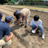 テクノ・ホルティ園芸専門学校 野菜づくり実習★夏野菜オクラを育てる！栽培のコツを学ぼう2