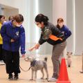 ヤマザキ動物専門学校 専門学校　オープンキャンパス（半日コース）