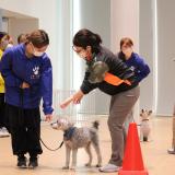 専門学校　オープンキャンパス（半日コース）の詳細