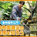ＴＣＡ東京ＥＣＯ動物海洋専門学校 動物園学入門｜動物園展示の裏側を知ろう