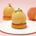 専門学校　福岡ビジョナリーアーツ 【フード】まるごと桃のタルト
