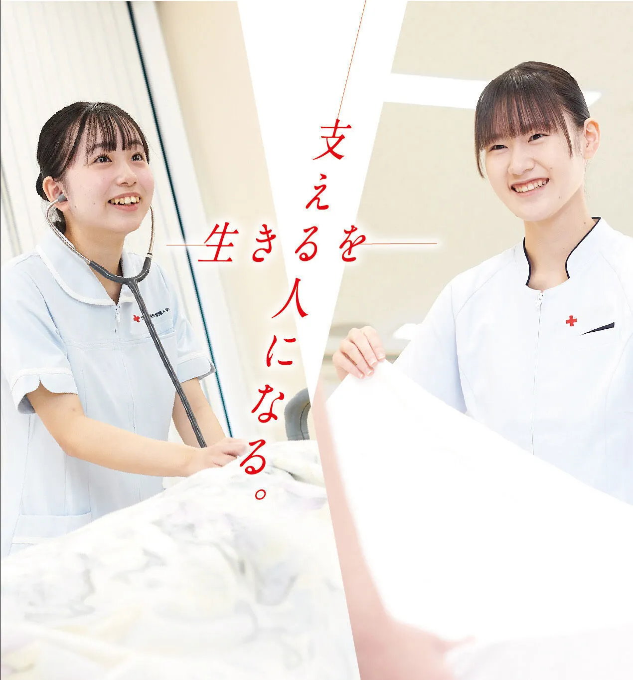 日本赤十字東北看護大学 | 資料請求・願書請求・偏差値情報【スタディ