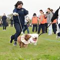 専門学校　福岡ビジョナリーアーツ 【ペット】【高校3年生限定】担当犬と運動会！