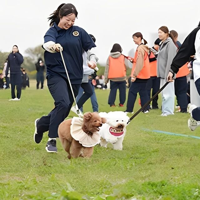 専門学校　福岡ビジョナリーアーツ 【ペット】【高校3年生限定】担当犬と運動会！1