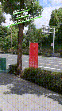 OCカメラサムネイル画像