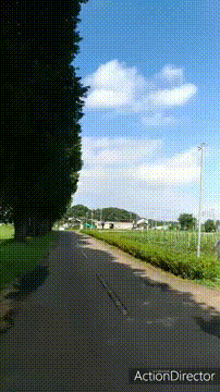 OCカメラサムネイル画像