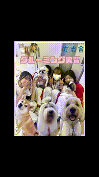 OCカメラサムネイル画像