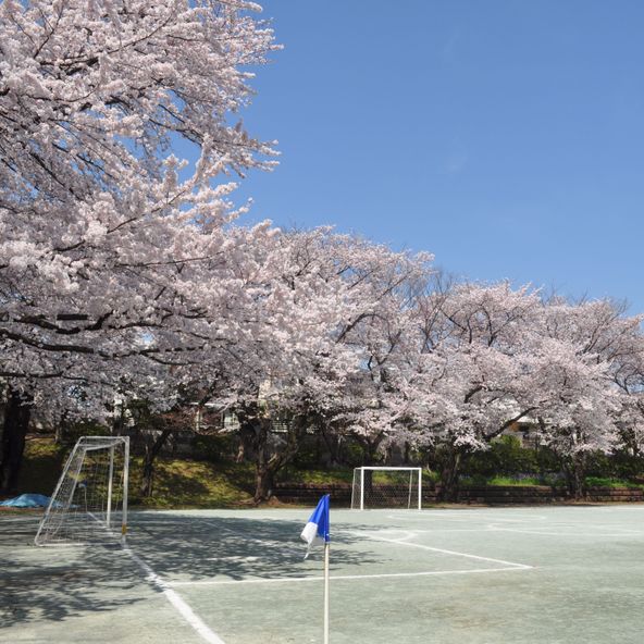 嘉悦大学 資料請求 願書請求 学校案内 スタディサプリ 進路