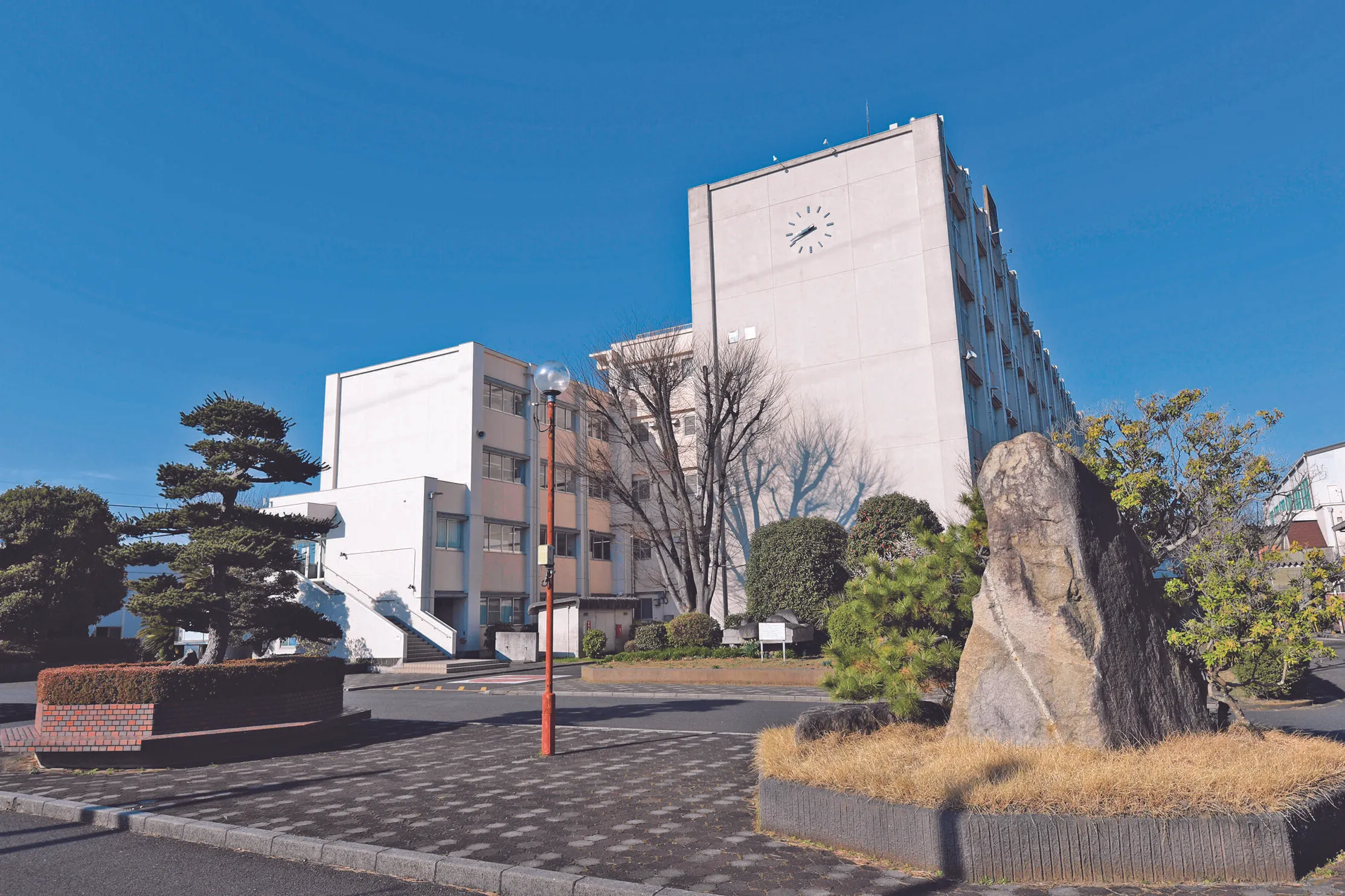日本 保健 医療 大学