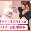 ＴＣＡ東京ＥＣＯ動物海洋専門学校 プレミアムサロンのトリマーお仕事体験