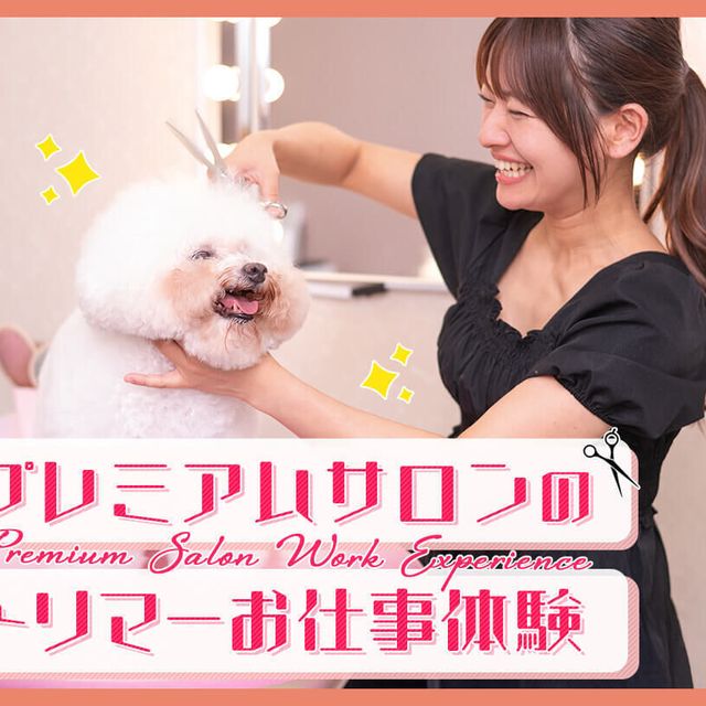 ＴＣＡ東京ＥＣＯ動物海洋専門学校 プレミアムサロンのトリマーお仕事体験1