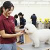 専門学校 東京ビジネス・アカデミー 現役プロトリマーから学ぶ！ワンちゃんのカット体験