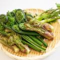 東京環境工科専門学校 ◆OGトーク：いろんな生き物食べてみた！を同時開催！