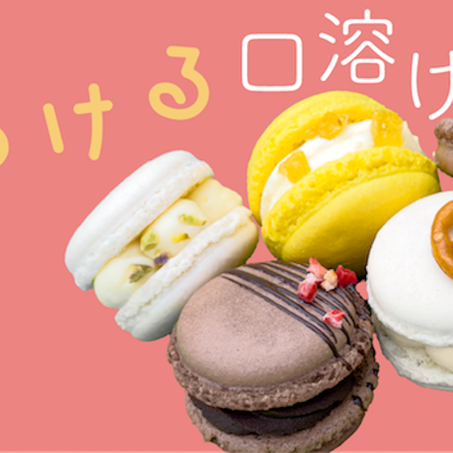 日本調理製菓専門学校 夏の体験入学【製菓：マカロン】1