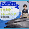 ＴＣＡ東京ＥＣＯ動物海洋専門学校 元鴨シートレーナーから学ぶ！イルカのトレーニングについて