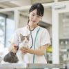 北海道エコ・動物自然専門学校 【動物看護師お仕事体験！】全道より無料送迎バス運行♪