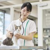 【動物看護師お仕事体験！】全道より無料送迎バス運行♪の詳細