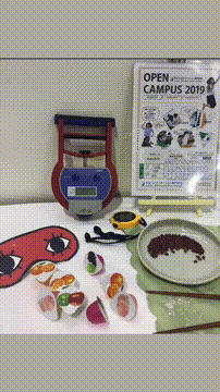 OCカメラサムネイル画像