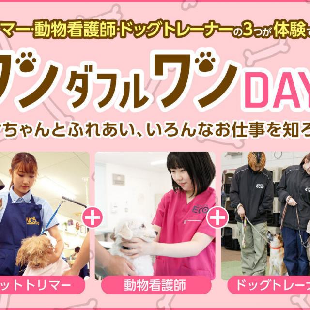 名古屋ECO動物海洋専門学校 【ワンちゃん好き集まれ】ワンダフルワンDAY!1
