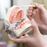 【歯科衛生士科】オープンキャンパス2025の詳細