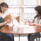 【総合どうぶつ専攻】動物に関わる公務員のお仕事の詳細