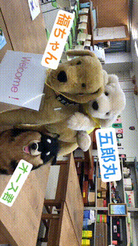 OCカメラサムネイル画像