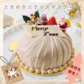 東京調理製菓専門学校 ときめき★クリスマスケーキ